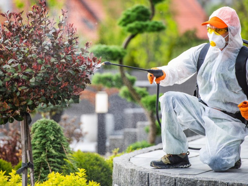 Germencik Haşere İlaçlama